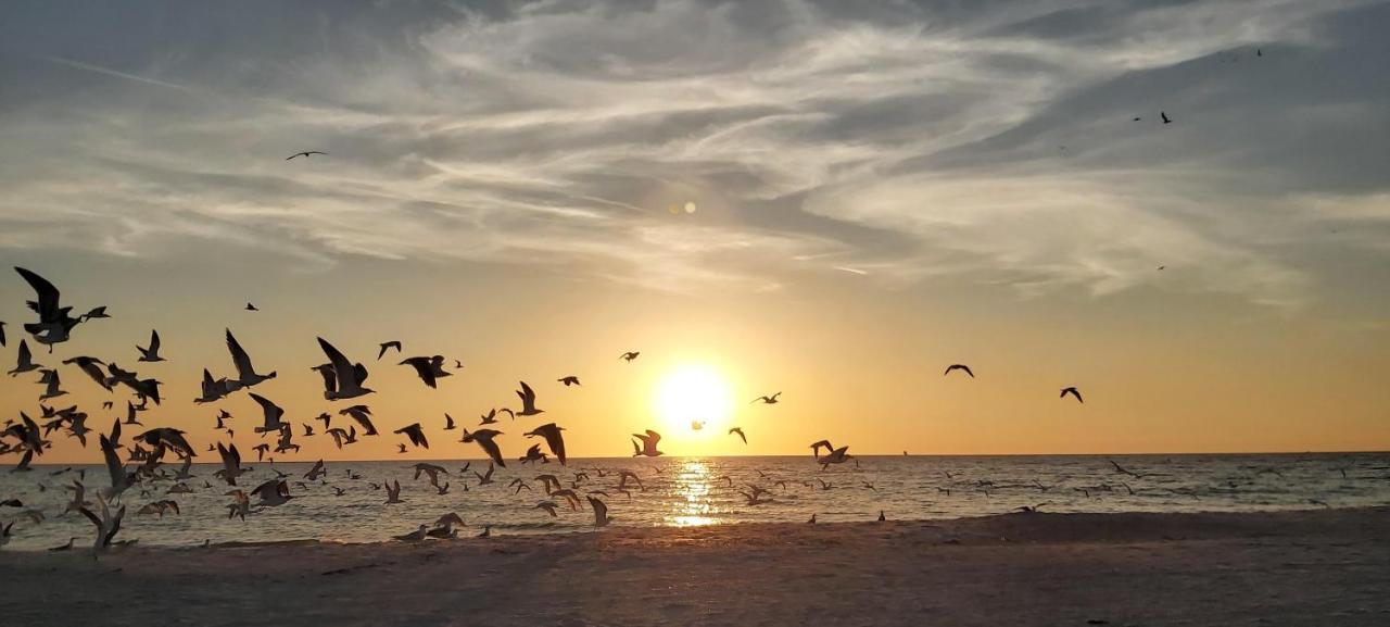 Villa Sunset Vistas 302S St. Pete Beach Esterno foto
