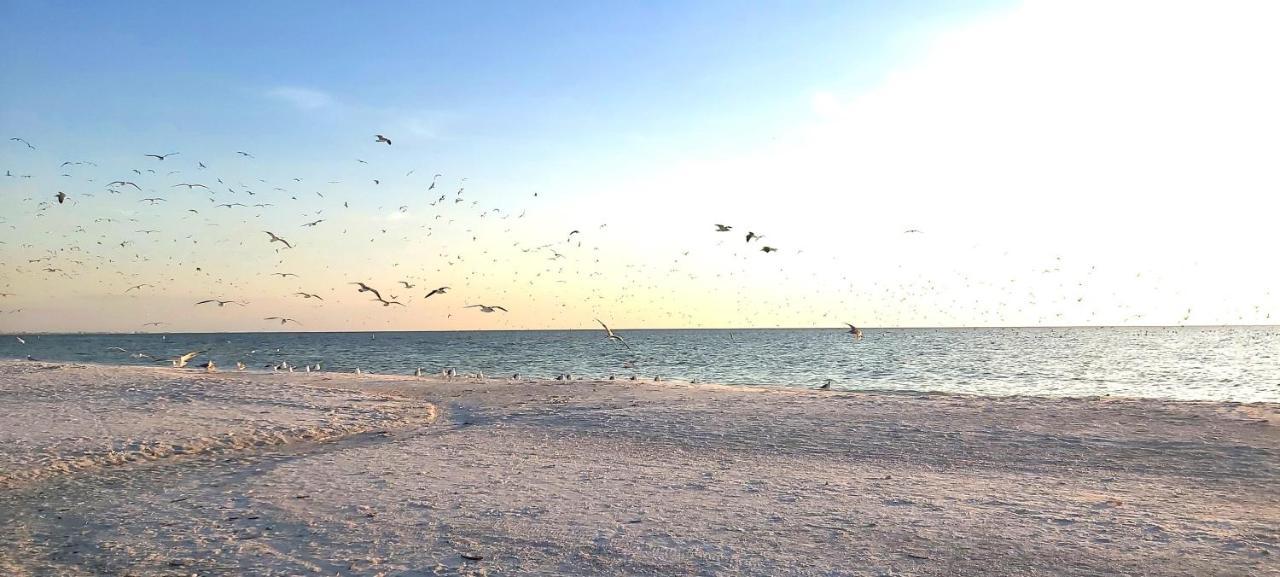 Villa Sunset Vistas 302S St. Pete Beach Esterno foto